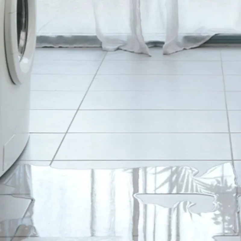 Appliance Leak Cleanup in Sedalia, MO