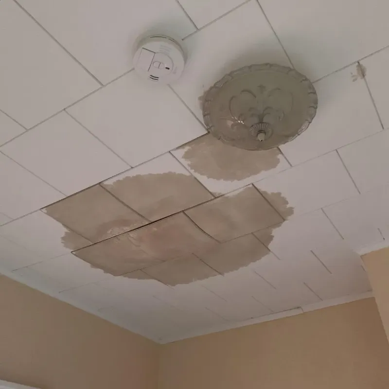 Ceiling Water Damage Repair in Sedalia, MO
